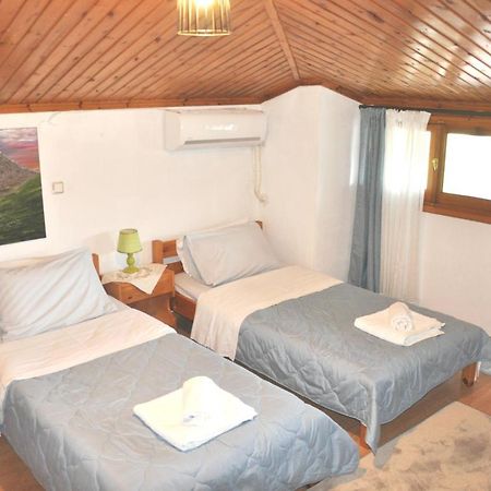 Cozy Loft With Fireplace & View Metsovo Ngoại thất bức ảnh
