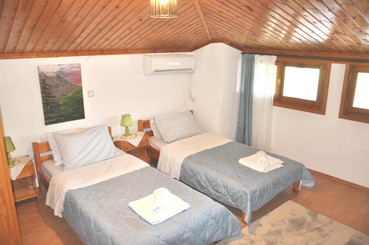 Cozy Loft With Fireplace & View Metsovo Ngoại thất bức ảnh